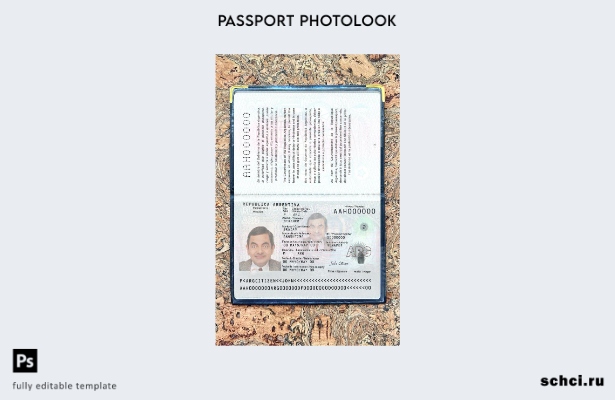 цифровая загрузка шаблона фотоизображения нового паспорта Аргентины